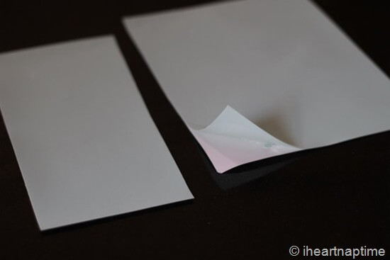 IMG_5844 IMG_5844