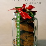 chocolate-pumpkin-cookies
