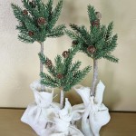 pine