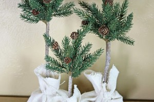 pine pine