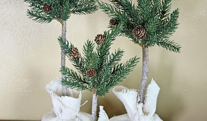 pine