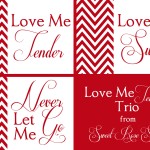 Love Me Tender Collage Berry Red