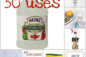 50 uses for vinegar 50 uses for vinegar