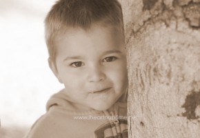 IMG_5277 IMG_5277