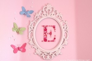 butterfly decor