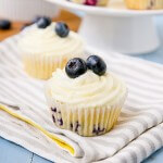 Spring Cupcakes 1
