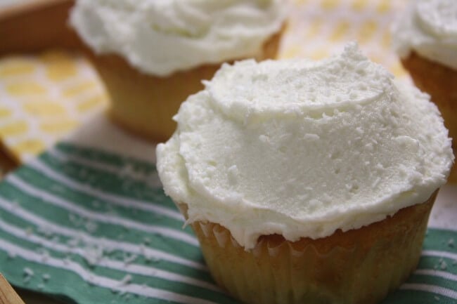 Spring Cupcakes 13