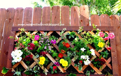 vertical garden wall