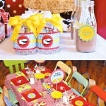 Boys Party Ideas