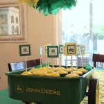Boys Party Ideas