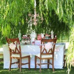 Girls Party Ideas 13
