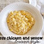 Slow Cooker Recipes 11