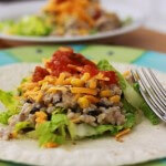 Slow Cooker Recipes 13