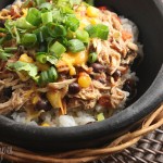 Slow Cooker Recipes 15