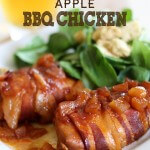 Slow Cooker Recipes 2