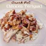 Slow Cooker Recipes 20