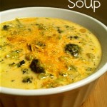 Slow Cooker Recipes 4