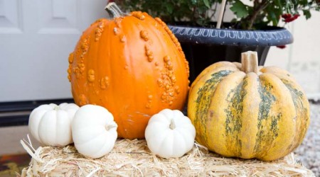 Simple and pretty fall porch on iheartnaptime.net