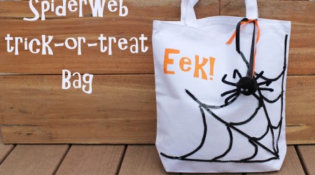 spider web trick or treat bag