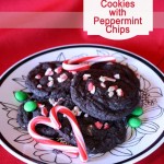 Dark Chewy Chocoalte Cookies2 copy
