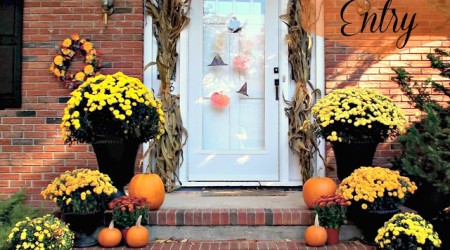 Fall Entry 3