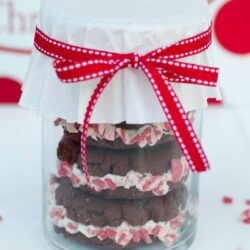 Christmas gift idea from iheartnaptime.net