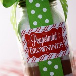 #DIY Jar Mixes by Skip to my Lou on iheartnaptime.net