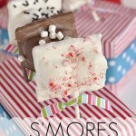 #smores on a stick by Your Home Based Mom on iheartnaptime.net