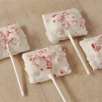 #smores on a stick by Your Home Based Mom on iheartnaptime.net