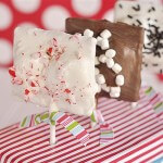 #smores on a stick by Your Home Based Mom on iheartnaptime.net