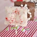 #smores on a stick by Your Home Based Mom on iheartnaptime.net