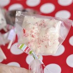 #smores on a stick by Your Home Based Mom on iheartnaptime.net