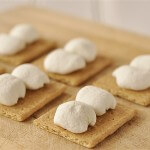 #smores on a stick by Your Home Based Mom on iheartnaptime.net