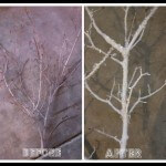 #DIY frosted tree branches and letters to santa by Bridgywidgey on iheartnaptime.net