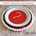 Felt-Plate-Charger-Graphic1