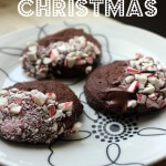 more christmas cookies 004-1