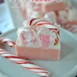peppermint-fudge-685x1024