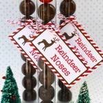 reindeer noses
