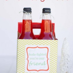 Christmas gift idea with FREE printable by iheartnaptime.net