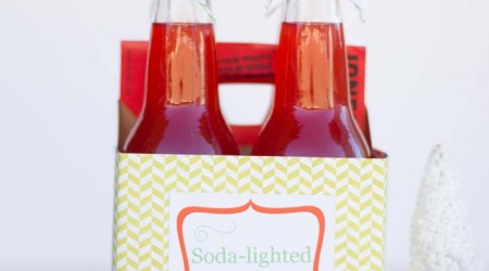 Christmas gift idea with FREE printable by iheartnaptime.net