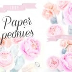 Crepe paper peonies-001