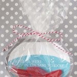 Valentine Crafts and Recipes 9