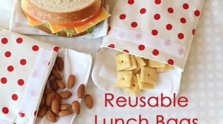 reusable lunch bags