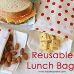 reusable lunch bags10
