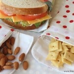 reusable lunch bags11
