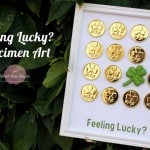 Best Saint Patricks Food and Crafts 1