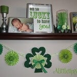 Best Saint Patricks Food and Crafts 14