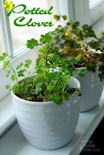 Best Saint Patricks Food and Crafts 31