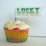 Best Saint Patricks Food and Crafts 4