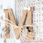 DIY Jewelry Organizer